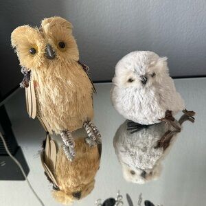 Decorative Owl Set - Tan and White. Chi omega, college mascot